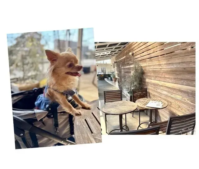 カフェ ソケリ 外観