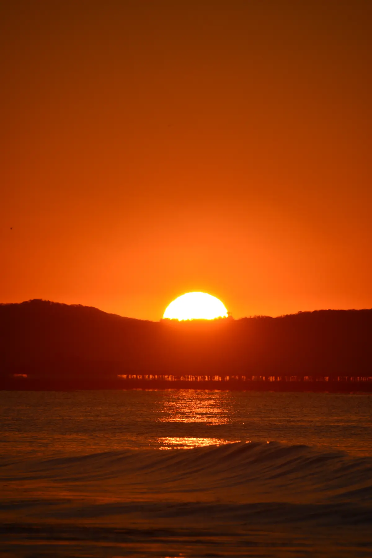 新春はエコファーダウンで横浜山下公園への画像_14