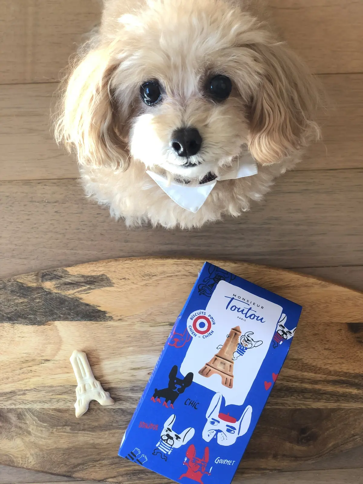 Paris 旅日記 IIIの画像_2