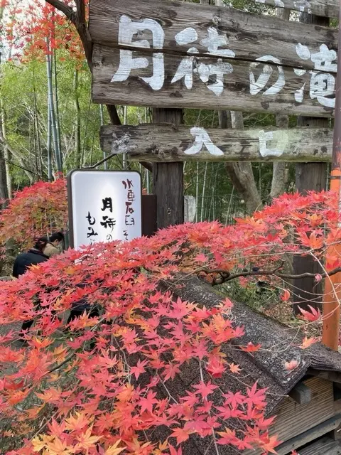 　日帰りバスツアーで絶景スポットへ☆の画像_4