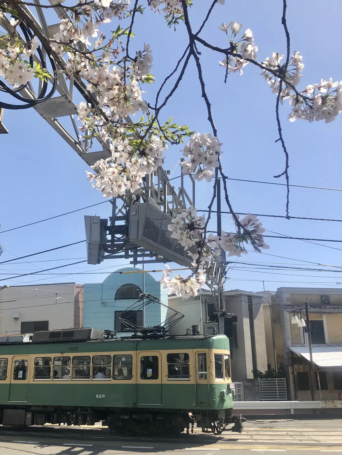鎌倉、海の近く。桜と浜辺とパン屋さんへ朝の画像_3