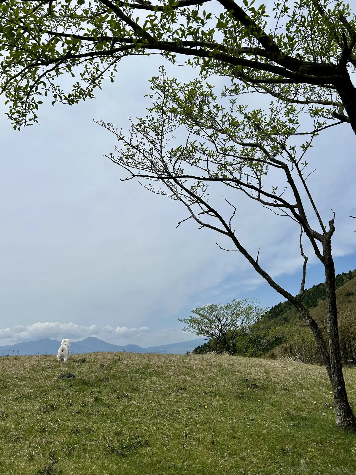 御殿場とらや工房へ♪の画像_5