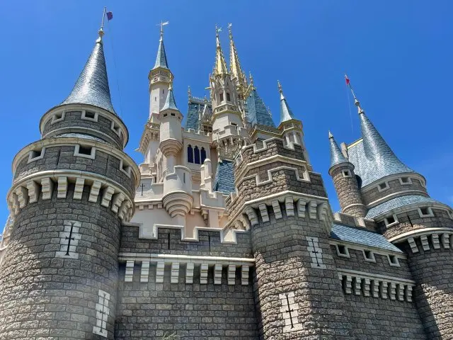 ここ最近のディズニーランドの画像_9