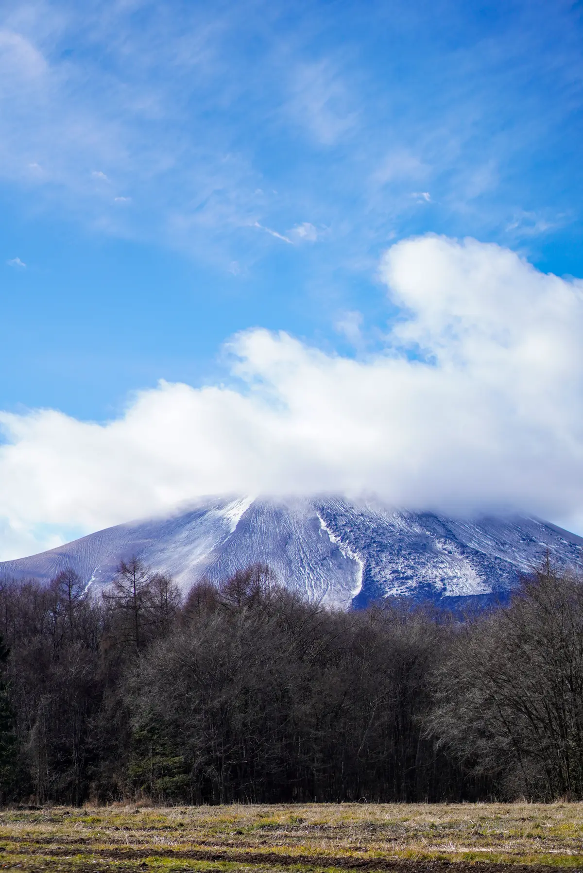 薪ストーブでX’mas クッキングの画像_12