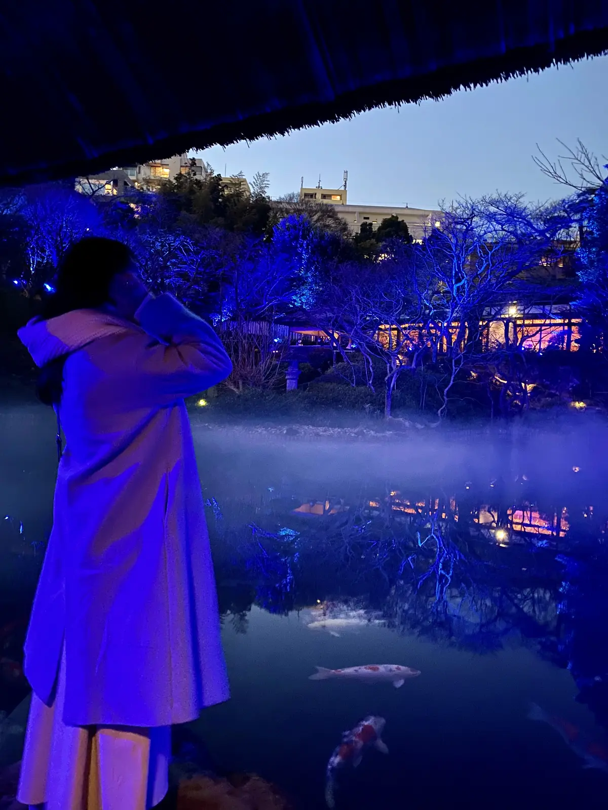 日本庭園がBLUEの世界に！の画像_3