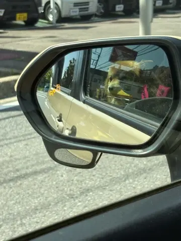 海老名SAを敢えて目的地に〜近場で過ごすの画像_1