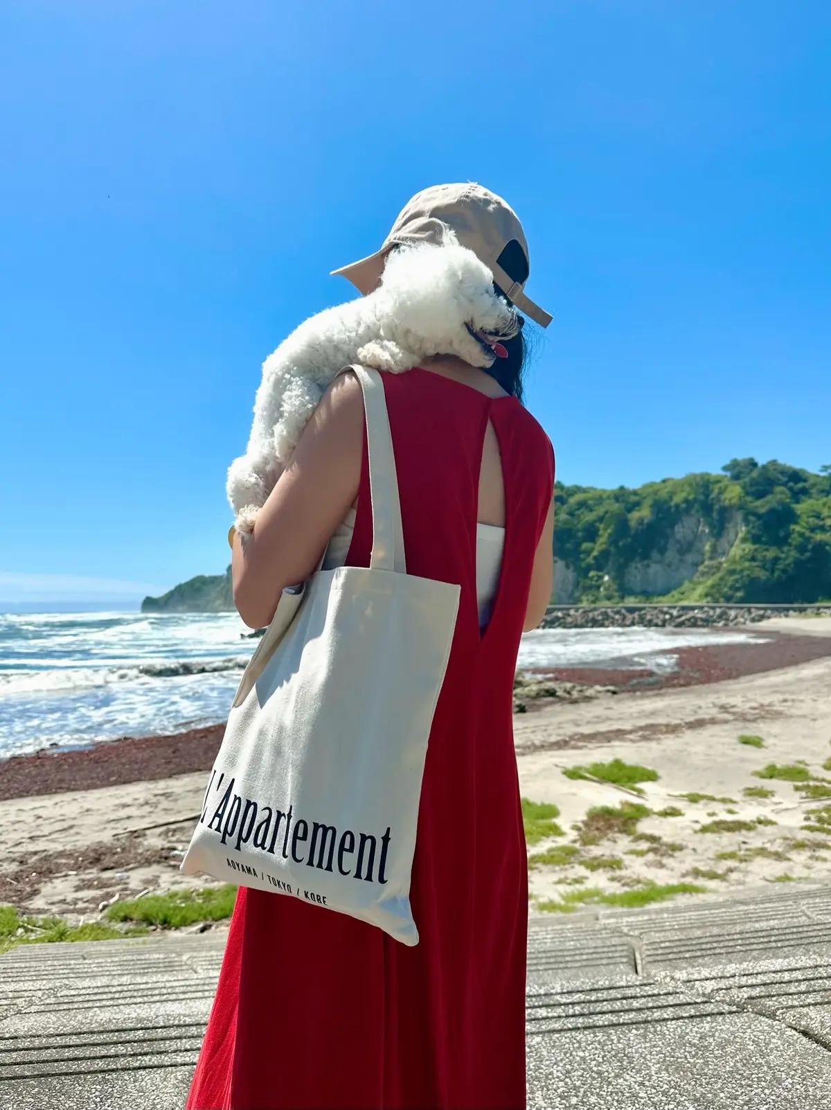 「L’Appartement ×éclaの画像_14