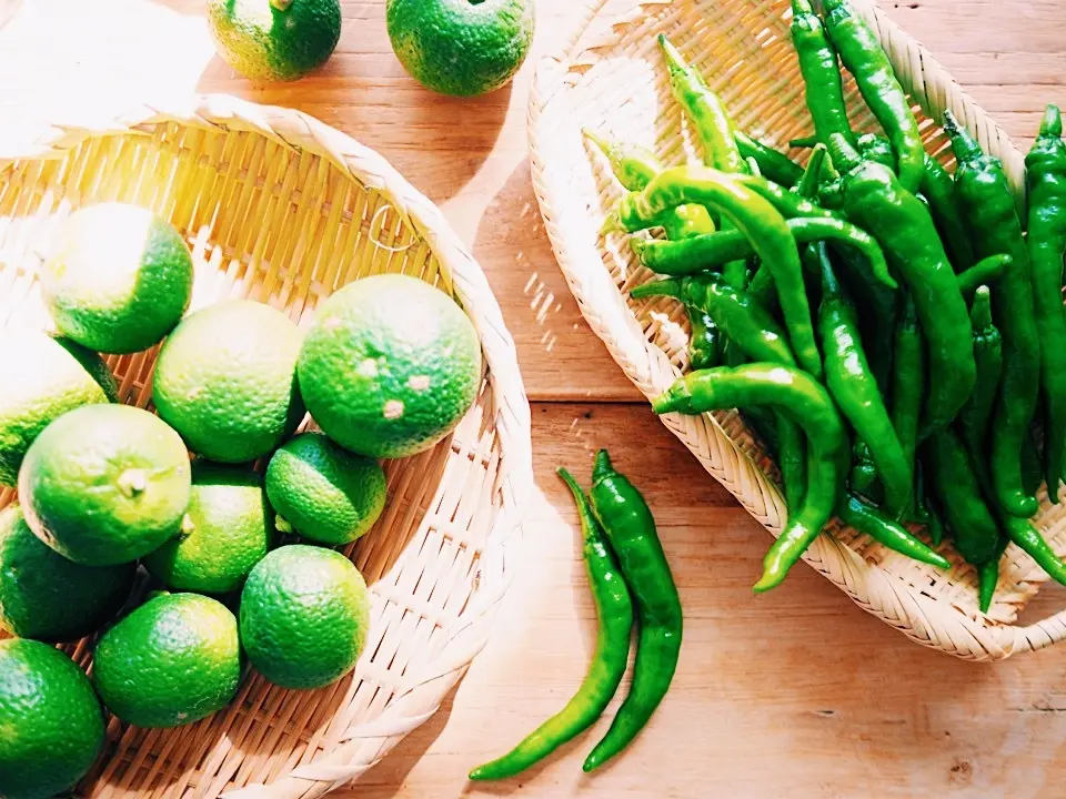 旬の手仕事、柚子胡椒づくりの季節！の画像_1