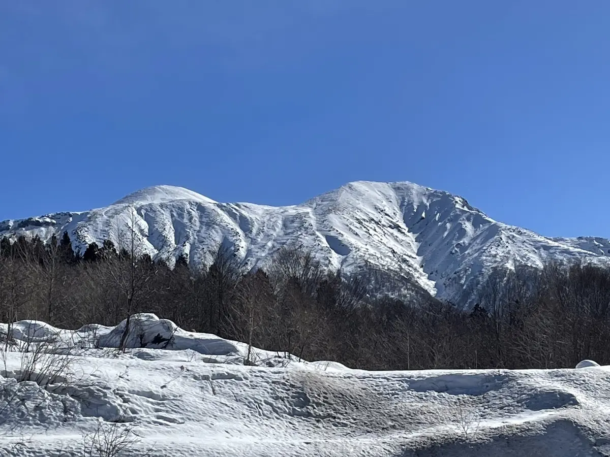 アルパこまくさ　秋田駒ヶ岳