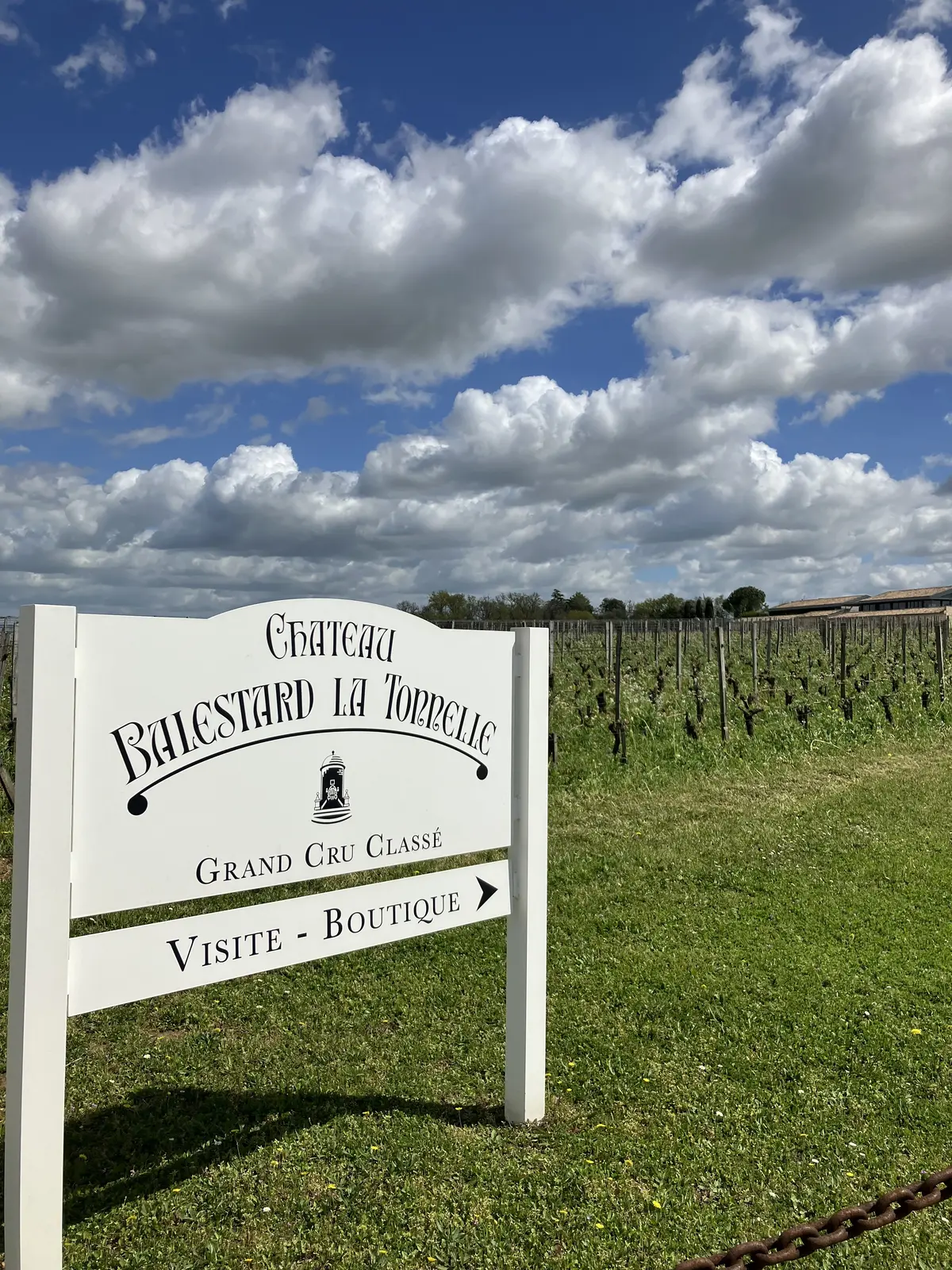 フランス旅行#2 サンテミリオン編の画像_13