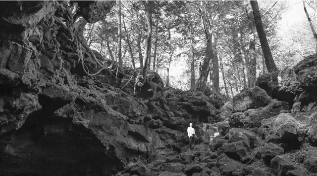 日本初のグランピングリゾート『星のや富士』（山梨県）