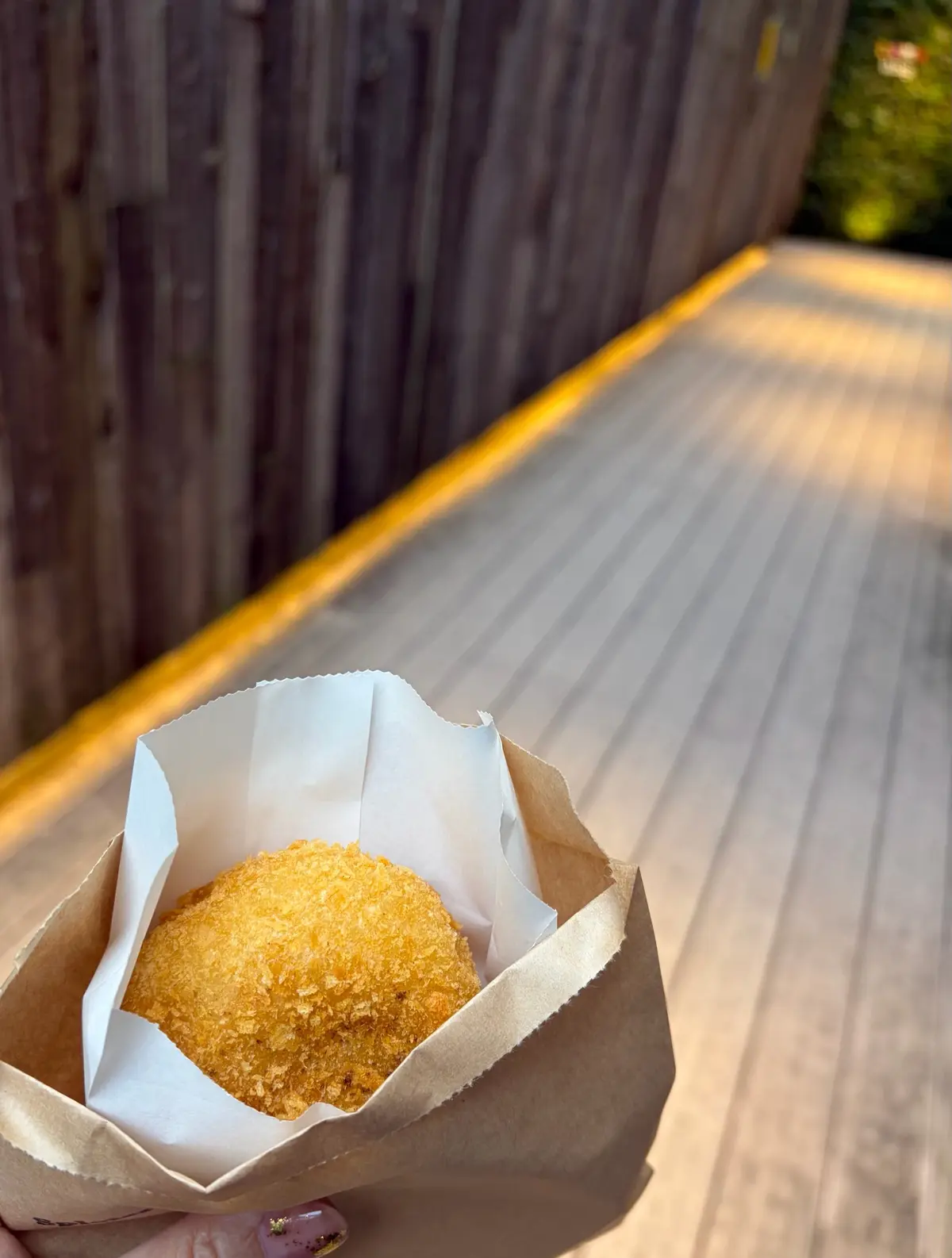 Spicier  神楽坂　御朱印　東京　午年　切り絵御朱印　飛躍の白馬　神楽坂大仏　神楽坂聖天　銭洗い弁財天　大聖歓喜天　神楽坂安養寺　御朱印さんぽ　スパイスチャイ　カレーパン　Spicier  安養寺　カレー　パン