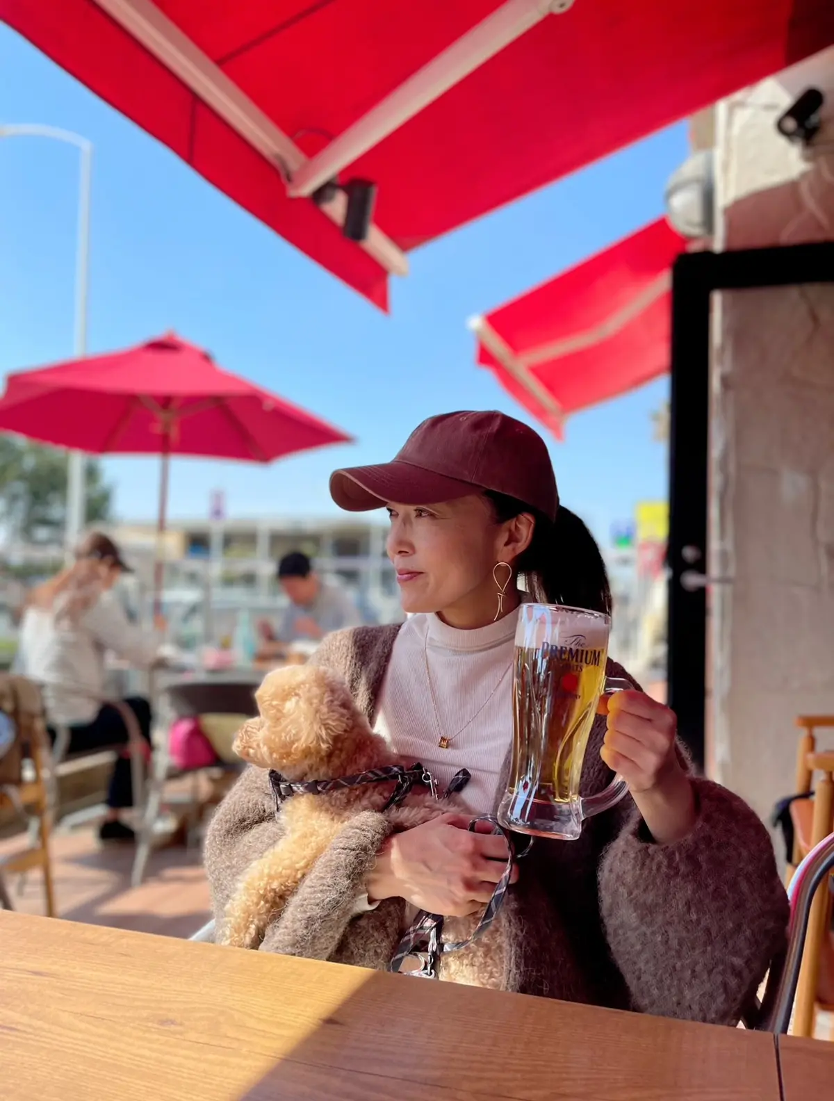 テラスランチを楽しめる季節になりましたの画像_1