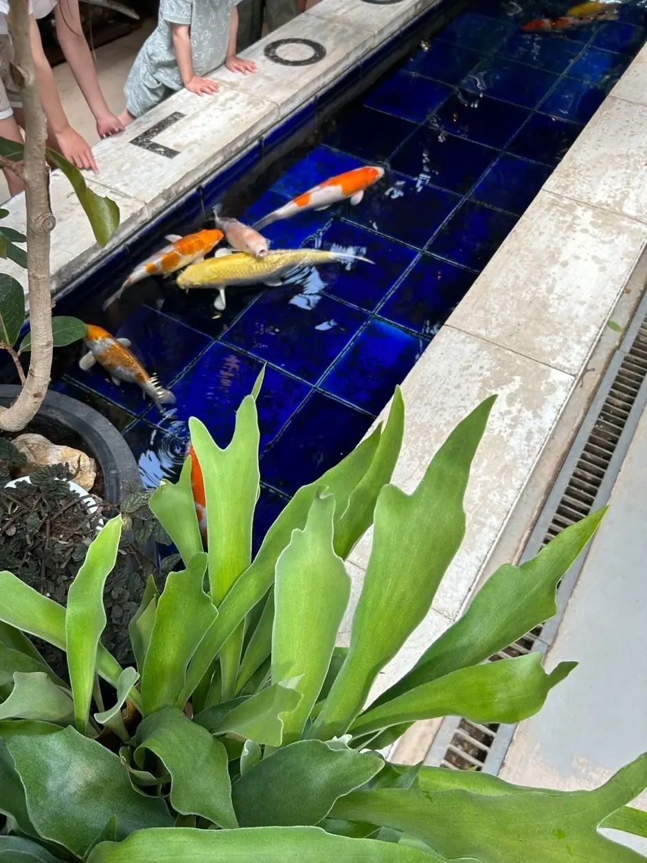 グリーンを探しにドライブをしてきました♪の画像_2