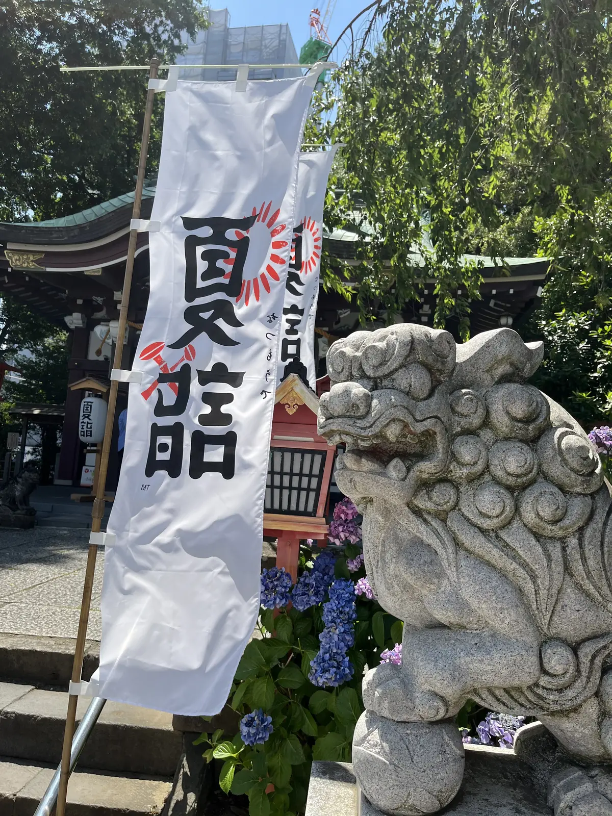 茅の輪くぐりと楽しみにしていたライブの画像_6