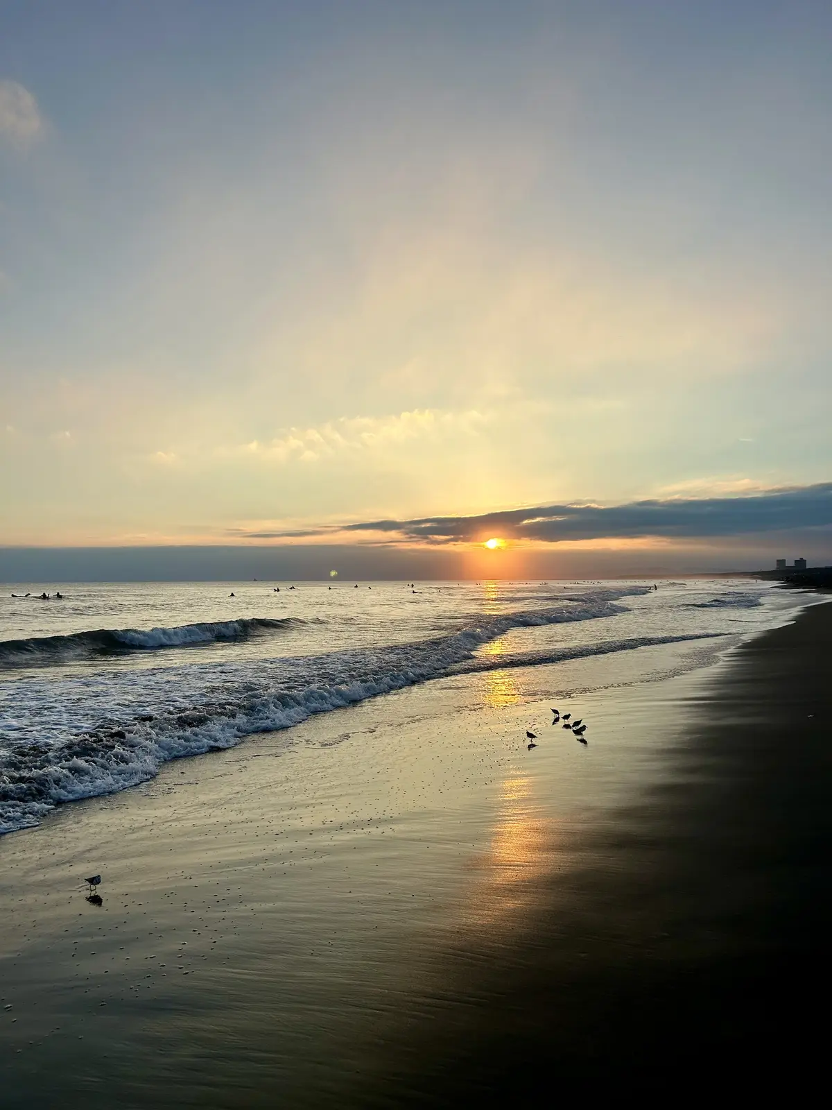 秋の海辺へ午後活に♪の画像_9