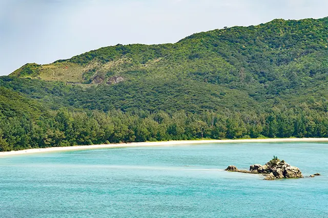 春から夏、日本に寄港する 外国船が目白押し！