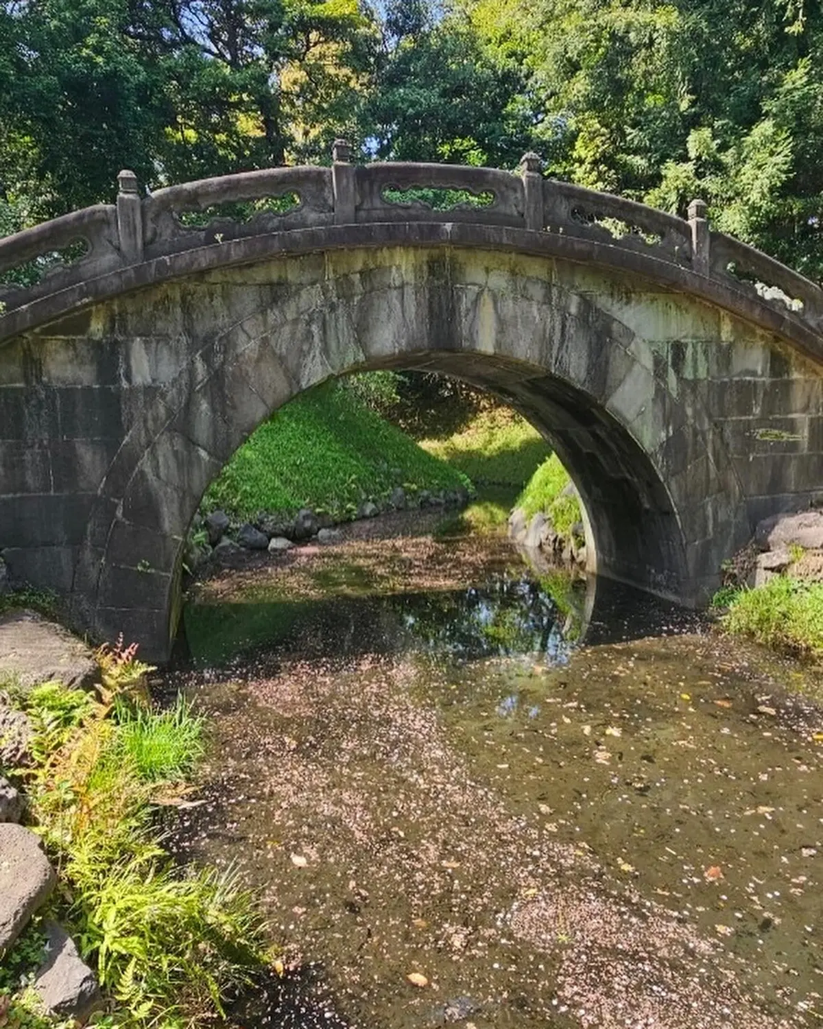 春　欲張りなアラフィフはおしゃれも遊びもの画像_7