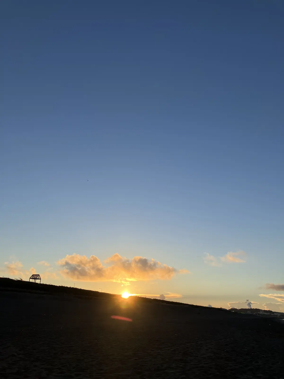 朝活スタートしました♪の画像_7