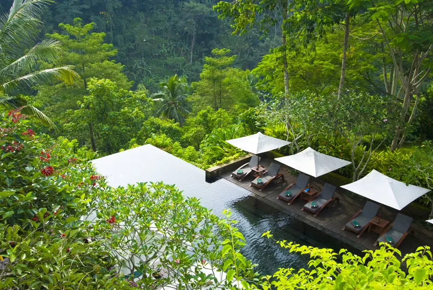 渓谷の緑が目に痛い マヤ ウブドゥ リゾの画像_1