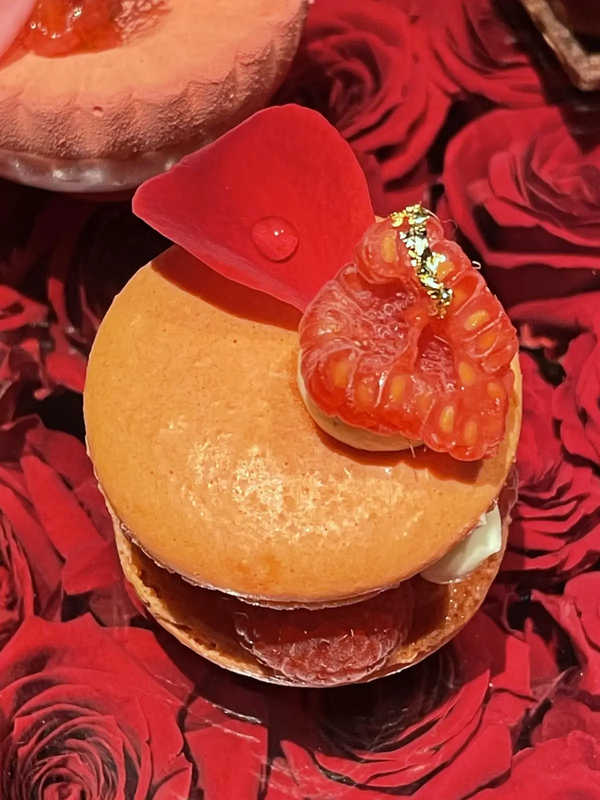 お洒落バー、お洒落カウンター、お洒落、お洒落な店内、お洒落スイーツ&バー、ボトルキープ、間接照明、お洒落照明、Constellation.、SweetscafeBAR、バー、スイーツバー、入り口、通路、廊下、プロローグ、モダン、ブルーライト、間接照明、エピローグ、幻想的、幻想的、お洒落、スイーツ、ベリー、ケーキ、スイーツ&バー、薔薇、フラワーアレンジ、マカロン、ライチ、ベリー、キイチゴ、木苺、薔薇、花びら、お洒落、美味しい、スイーツ、