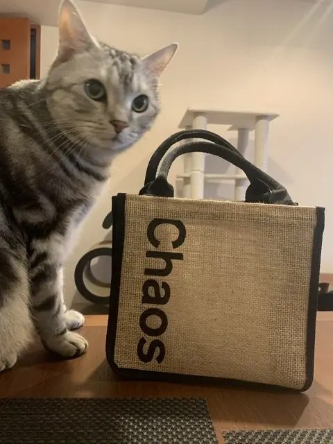 エクラ4月号の付録