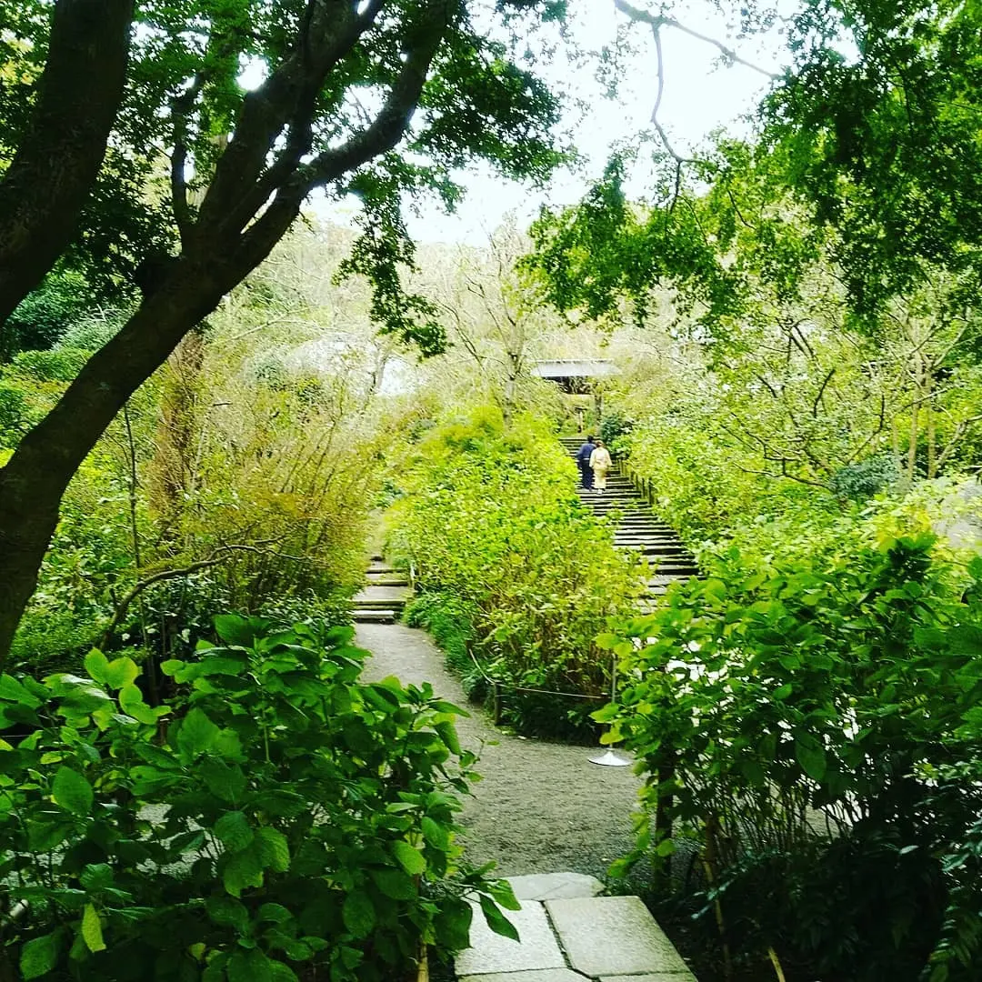 黒ワントーンで鎌倉散歩♪の画像_4