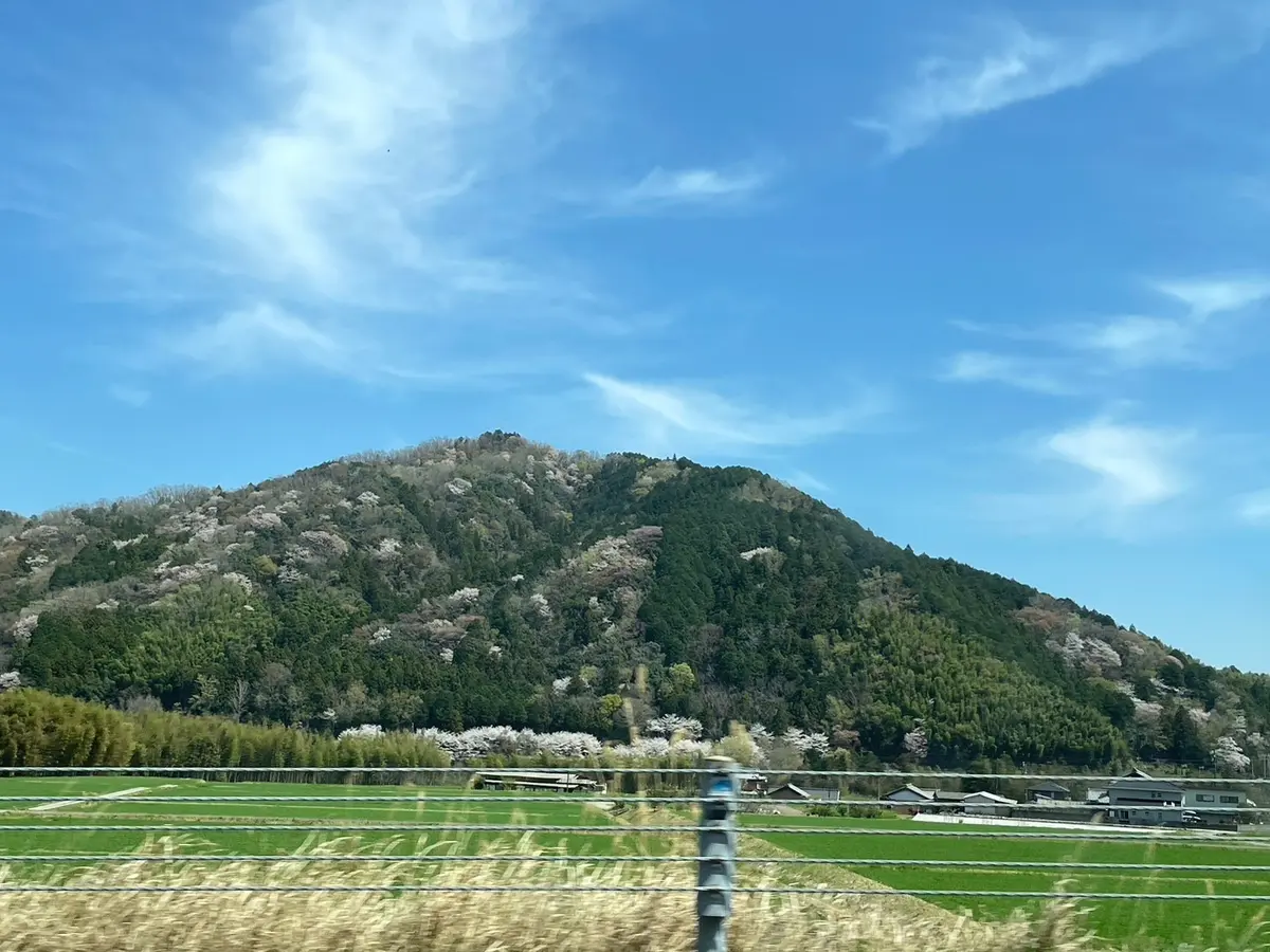 伊勢志摩鳥羽へ家族旅行の画像_3