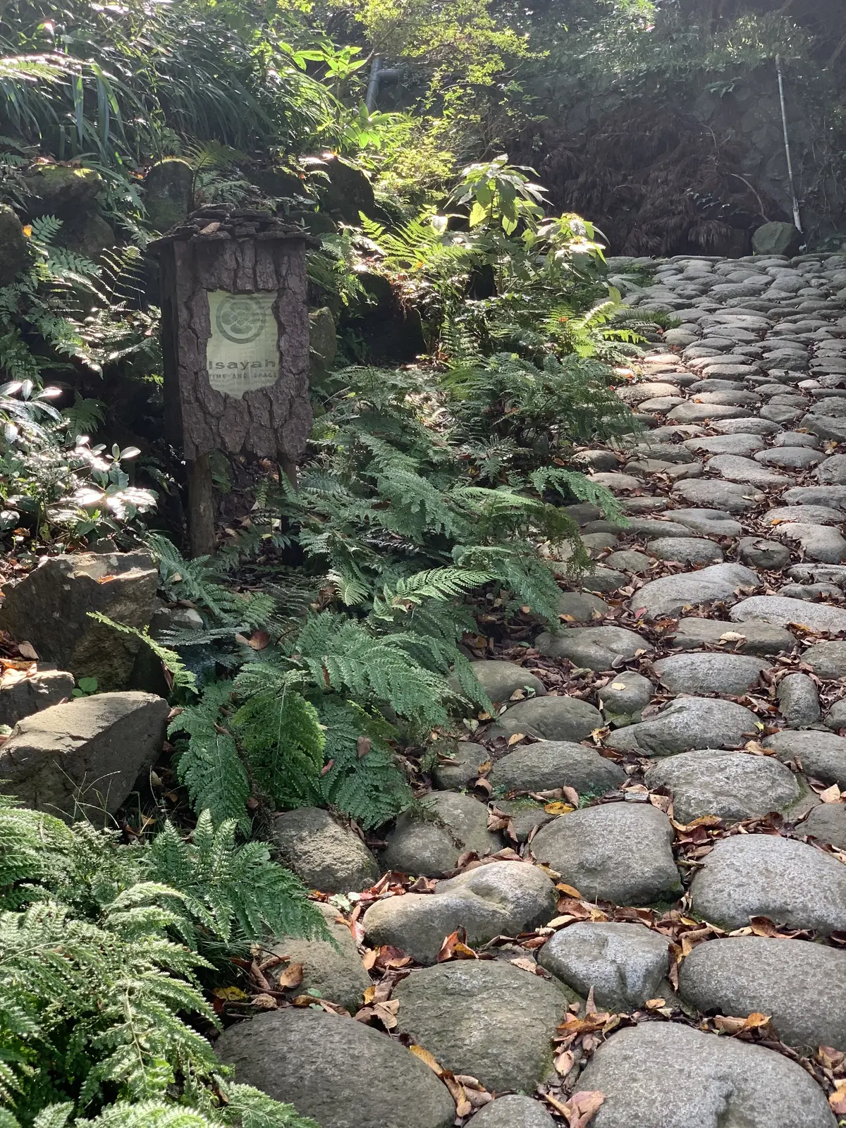 イザヤタイムアンドスペース　Isayah TIME AND SPACE 北鎌倉カフェ　古民家カフェ