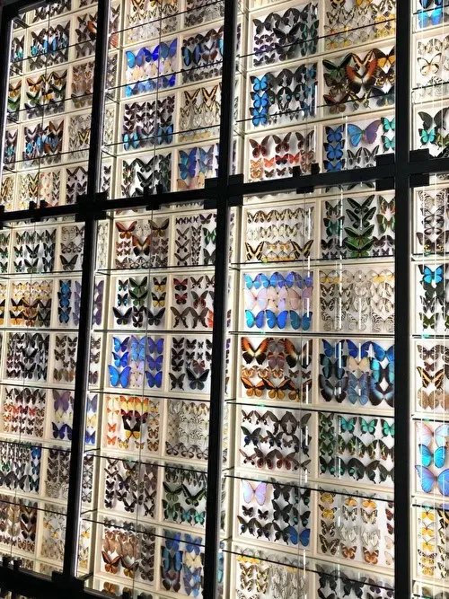 Gucci 創設100周年 感動のアートの画像_4