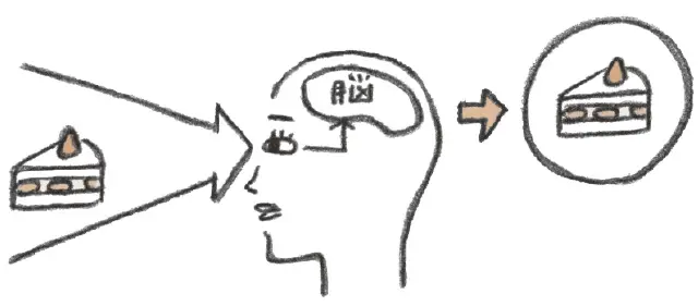 脳を鍛えて見る力アップする