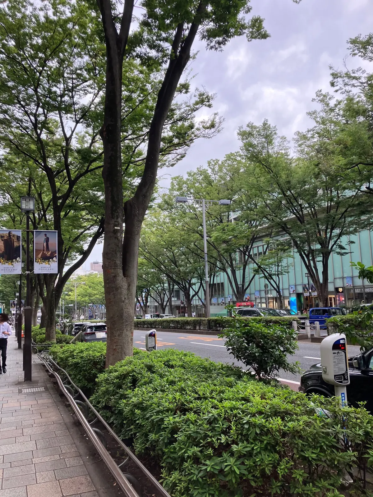 表参道　東京散歩　東方美人　オリエンタルビューティー　パワースポット　東京パワースポット　善光寺　遊茶