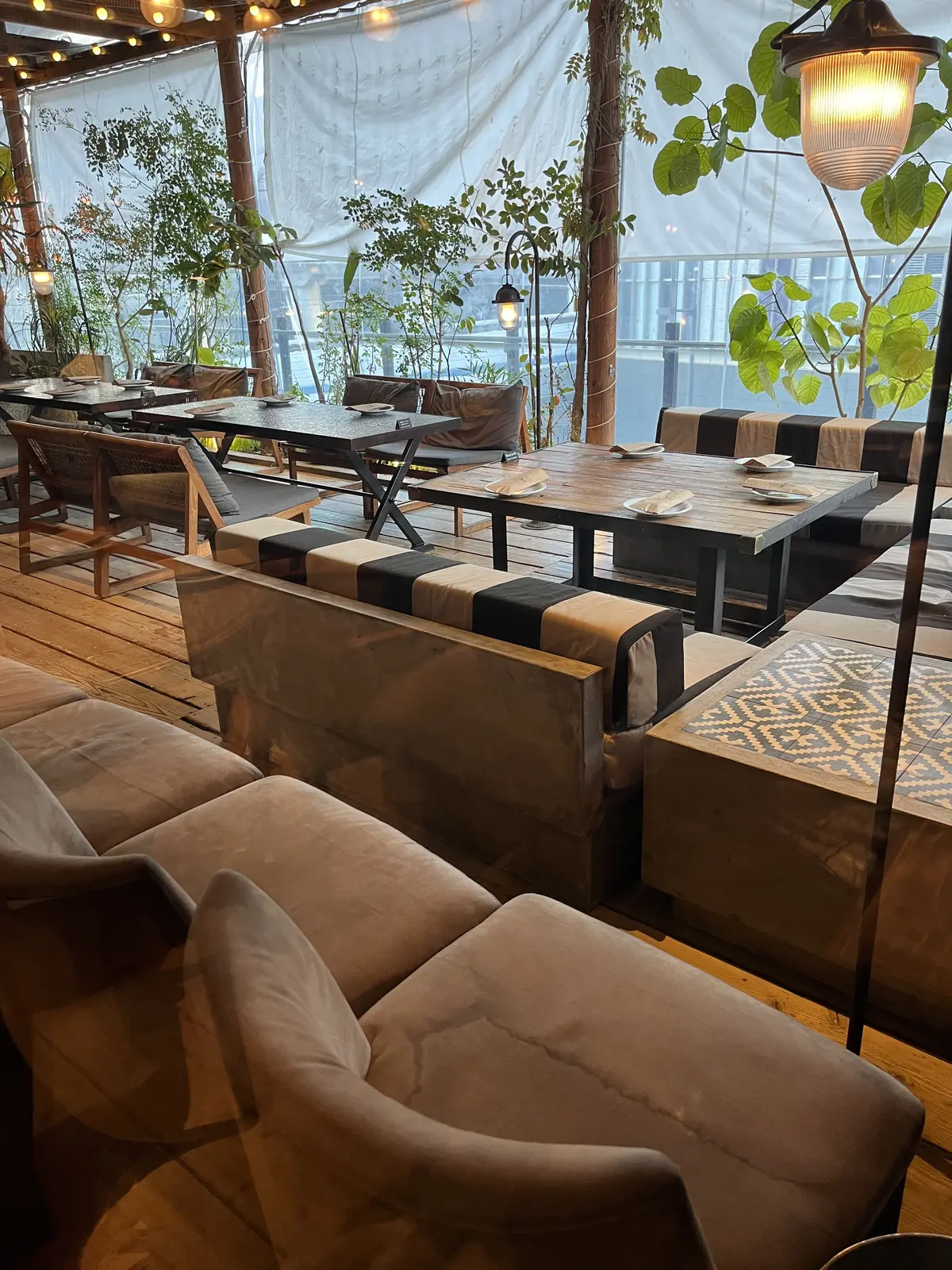 二子玉川で花活＆イタリアン＆チキンを楽しの画像_13