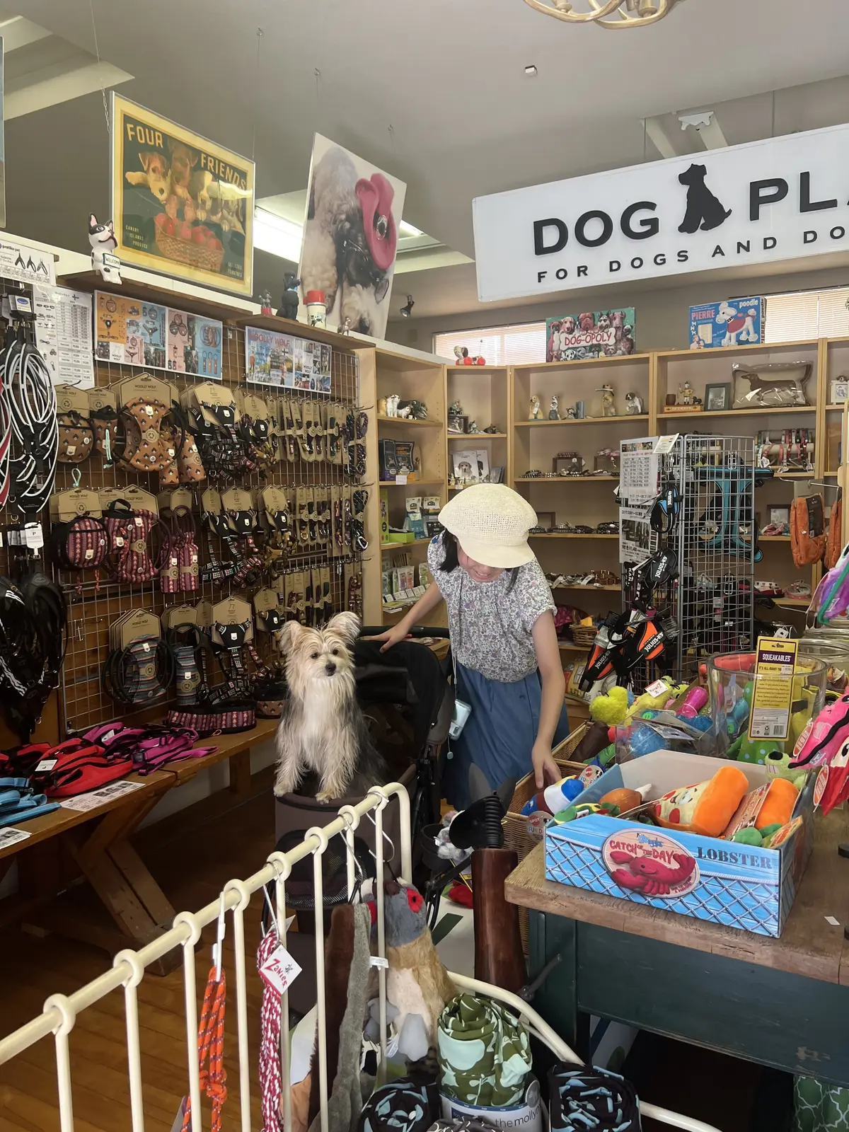 偶然入ったお店　Dog Planet