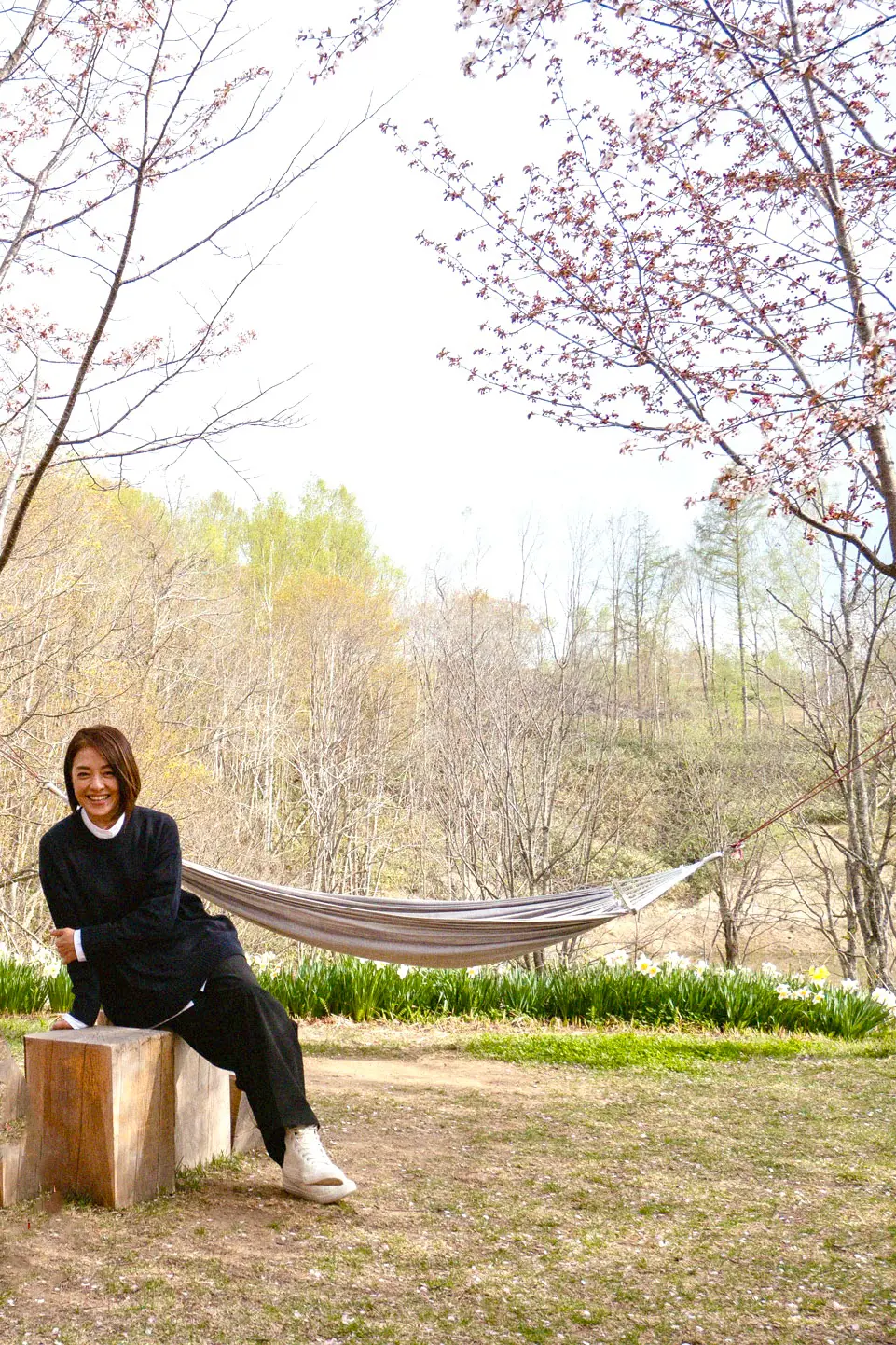 ニセコの桜スポットICORの庭にて