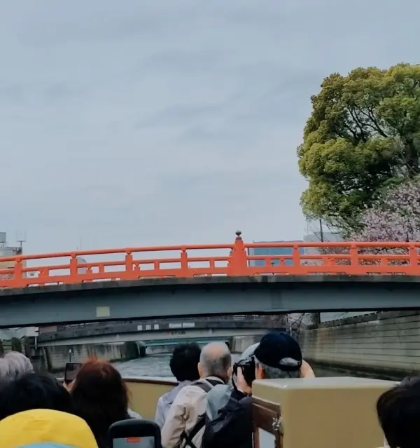【はとバス】で行く！春の目黒川桜クルーズの画像_6
