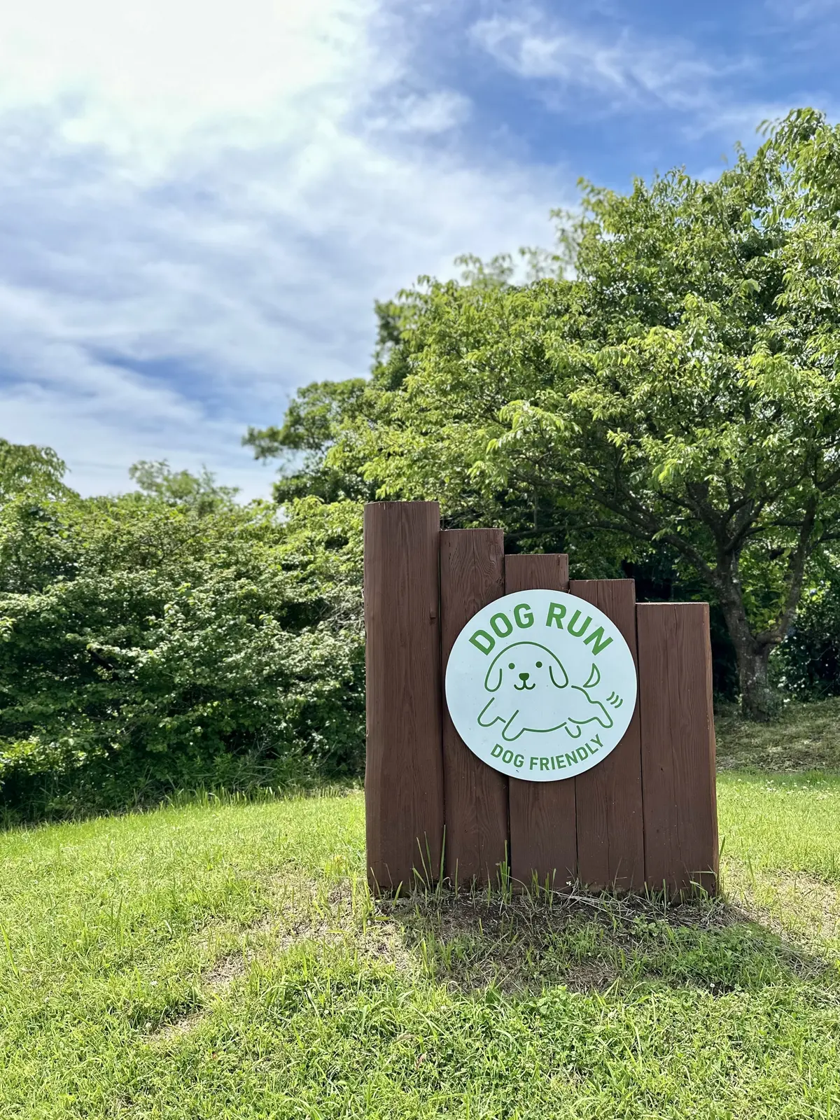 GUデニムで初夏の景色を楽しむお散歩へ♪の画像_9