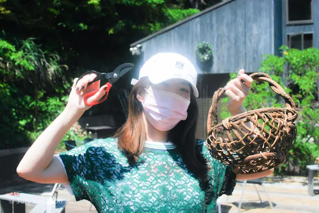 【さかぽんの冒険】海からの風香るレモン狩の画像_10