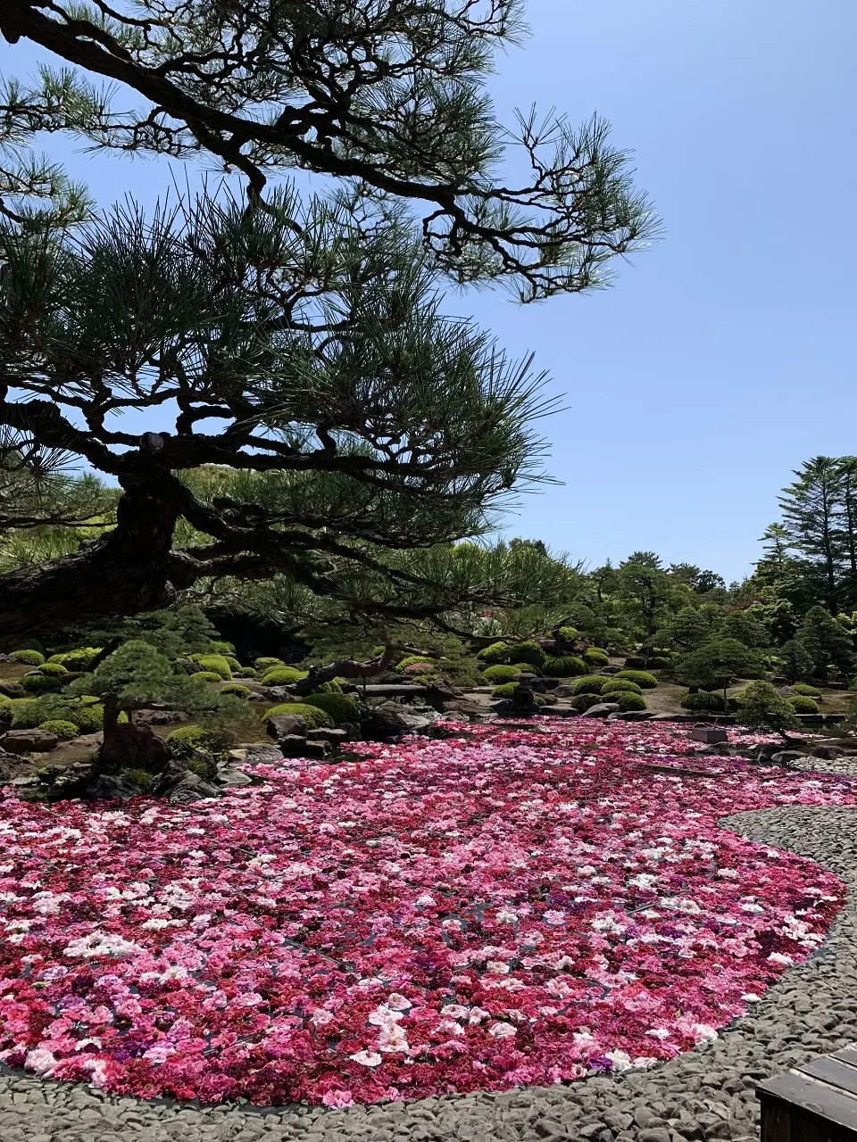 島根県「由志園」に行ってきました。の画像_1