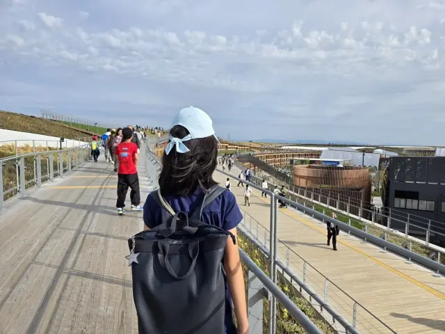 やっぱり行き当たりばったり?な大阪・関西の画像_23