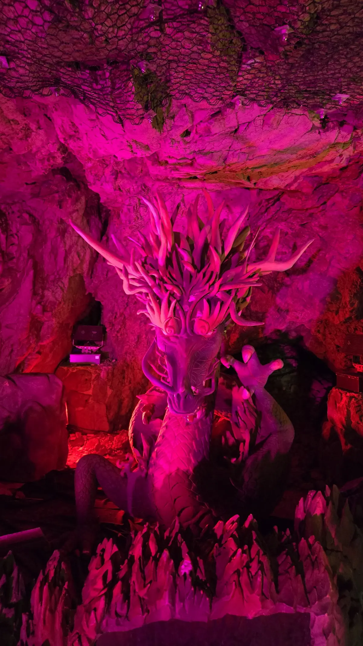 江の島で運気を整える！｢祐気取り｣プチトの画像_8