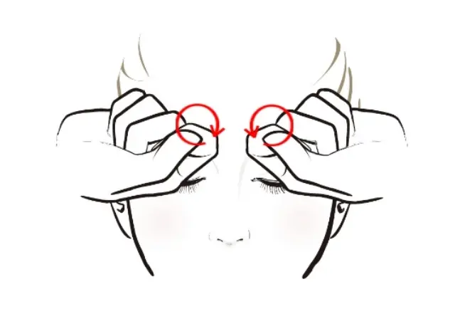 正面から見るとこんなふう。