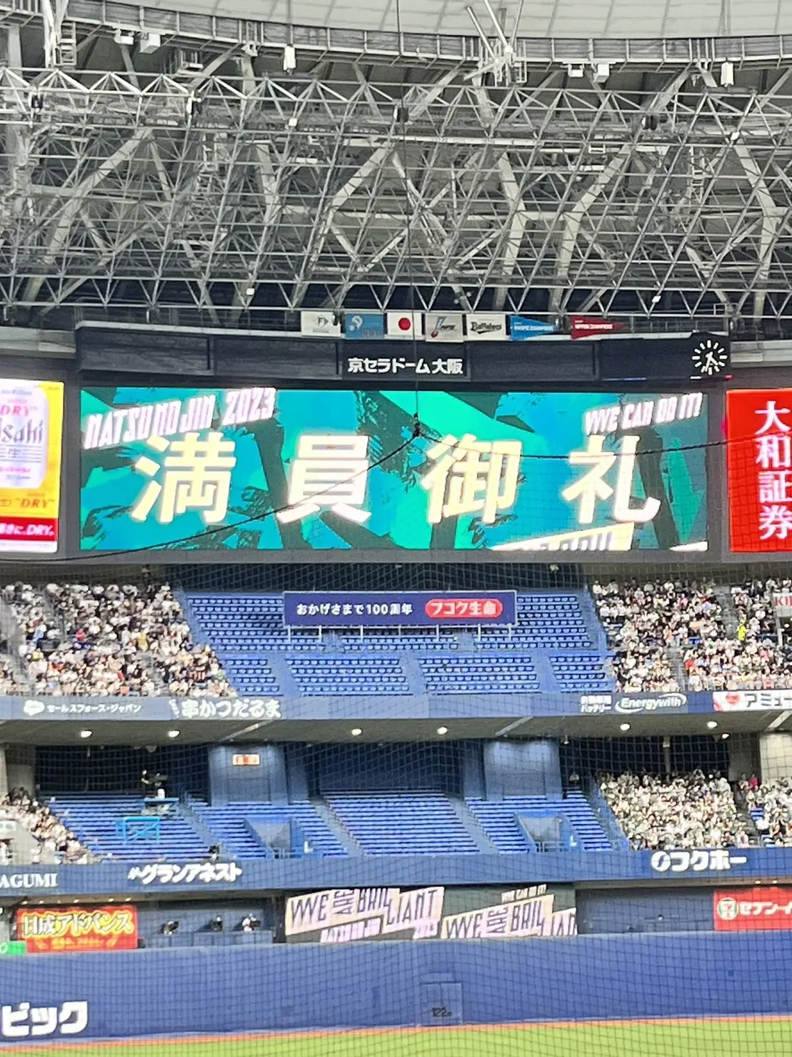 ソロ活見学　～オトナ女子のプロ野球観戦～の画像_6