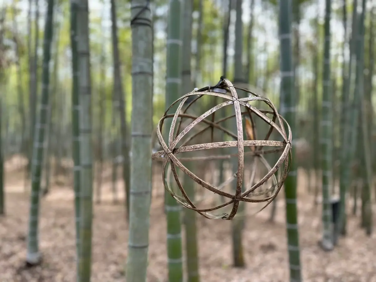 大人遠足　栃木編vol ②の画像_3