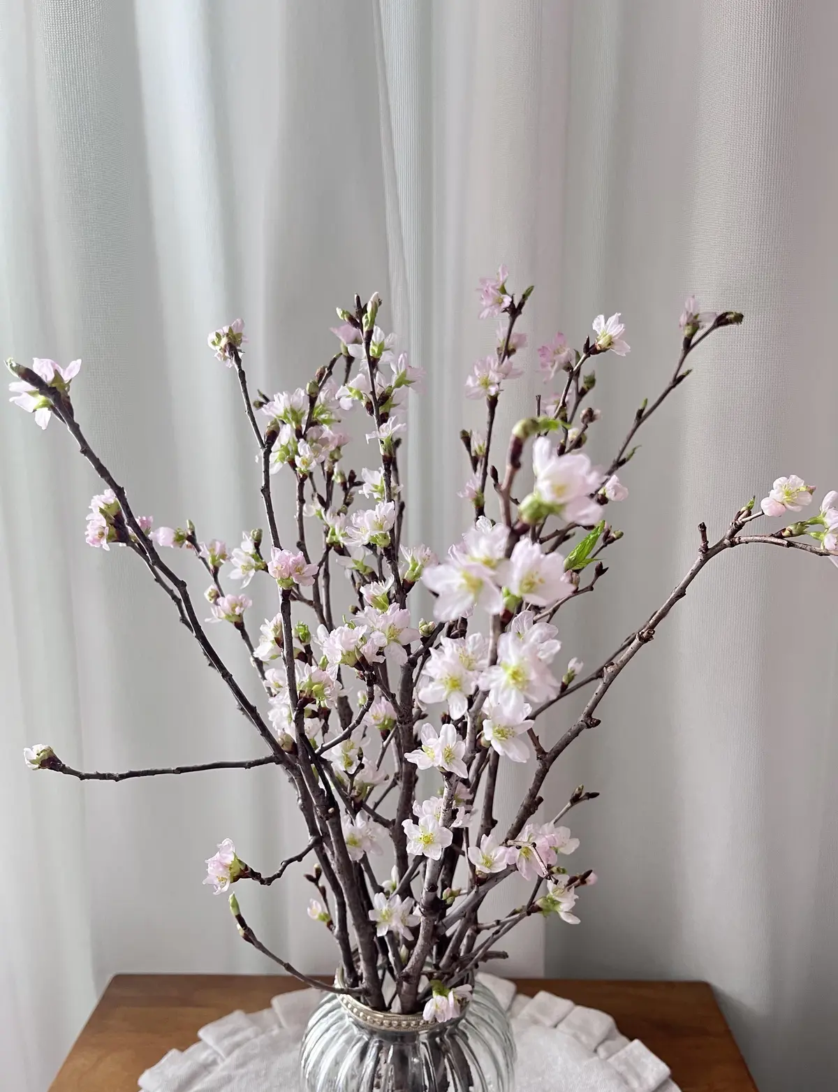 今年のお正月飾り。そして私のの〜んびりのの画像_14