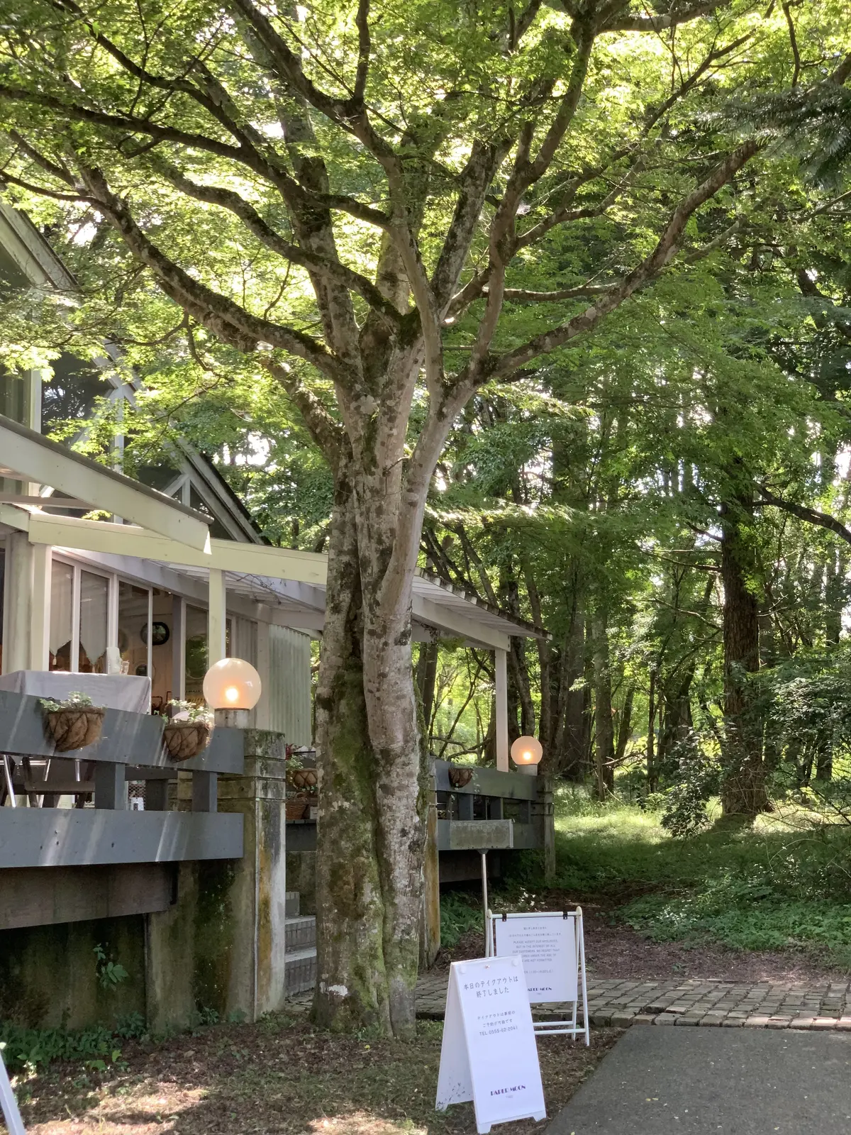 ペーパームーン山中湖　花カフェ　カフェ　PAPERMOON