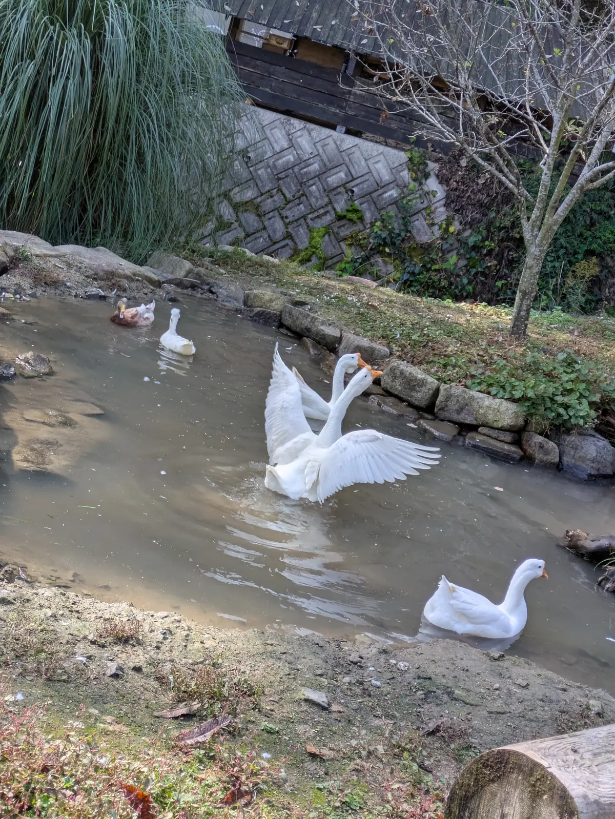 森の中の小さなパン屋さんでブランチデートの画像_3