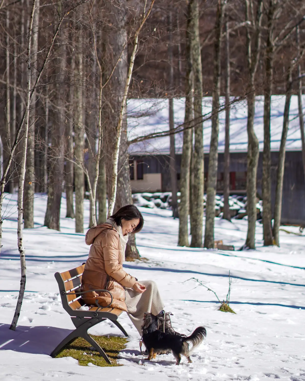 一面の銀世界への画像_2