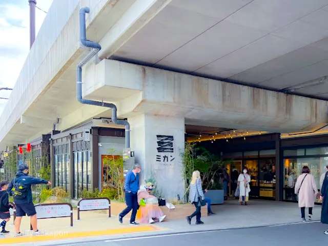 下北沢『ミカン』に行ってみた！の画像_1