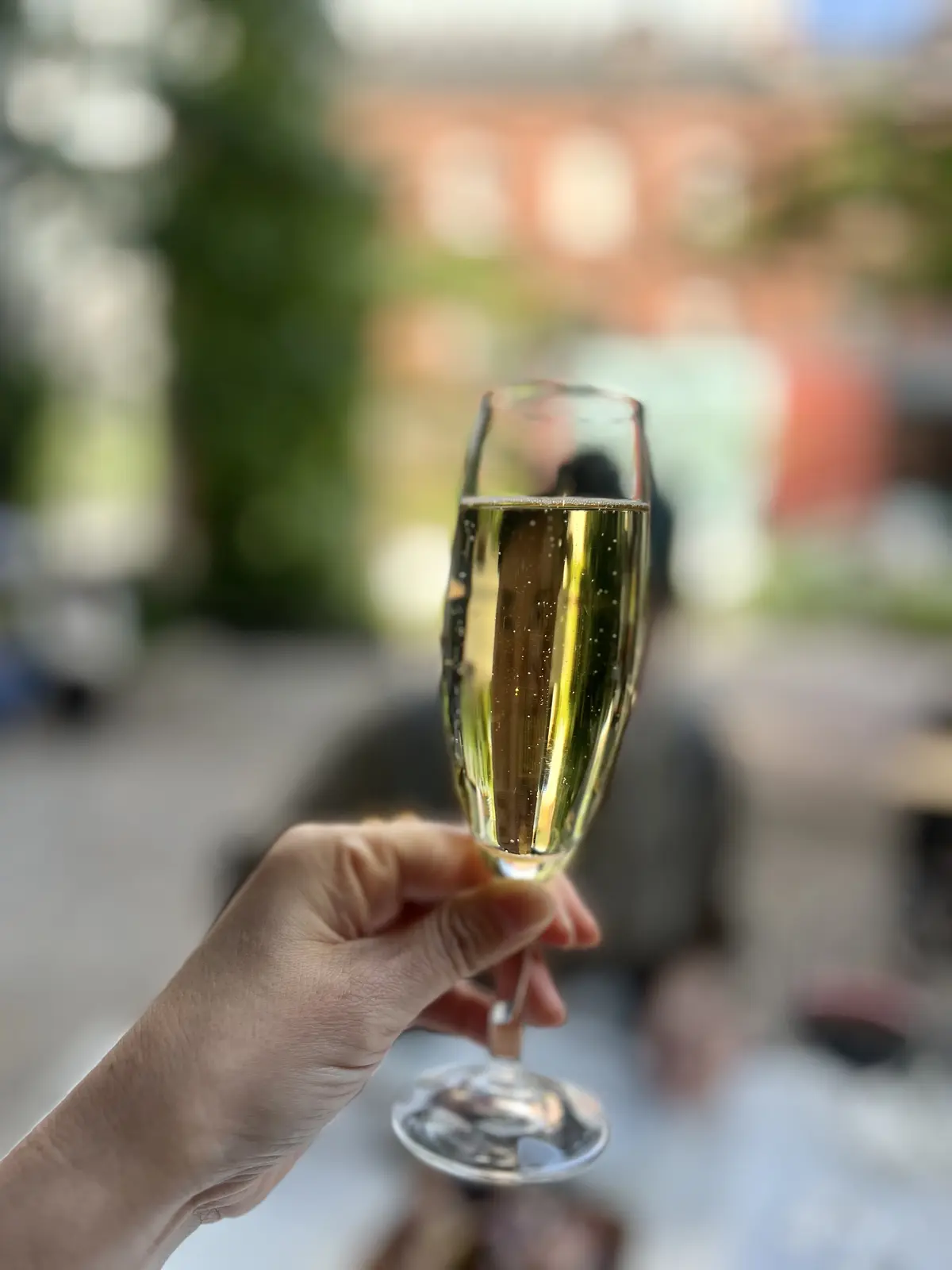 E by éclatのオーガンジー裏配色の画像_6